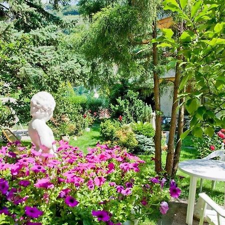 Villa Sabine - Renate Мерано Екстер'єр фото